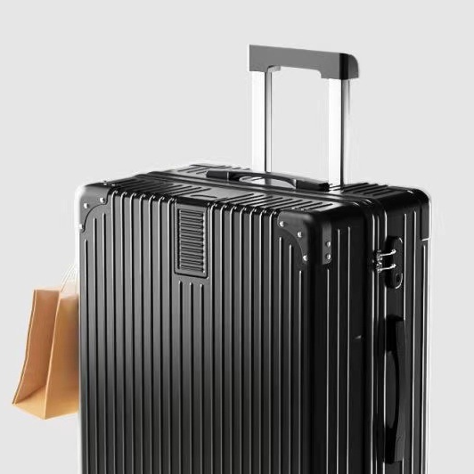 Vintage suitcase lady